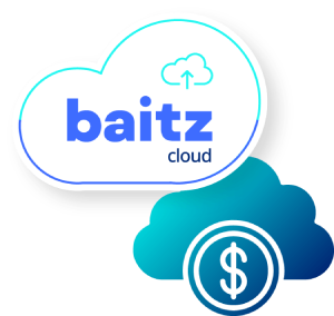 Baitz Solutions - Baitz Cloud